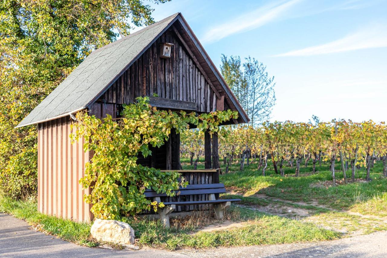 Gaestehaus Bausch Mehring  Bagian luar foto