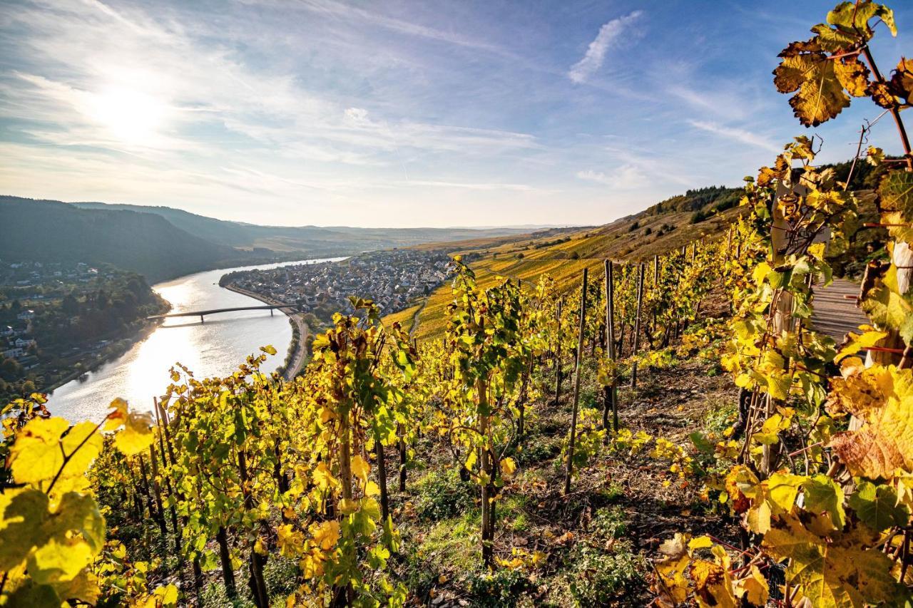 Gaestehaus Bausch Mehring  Bagian luar foto