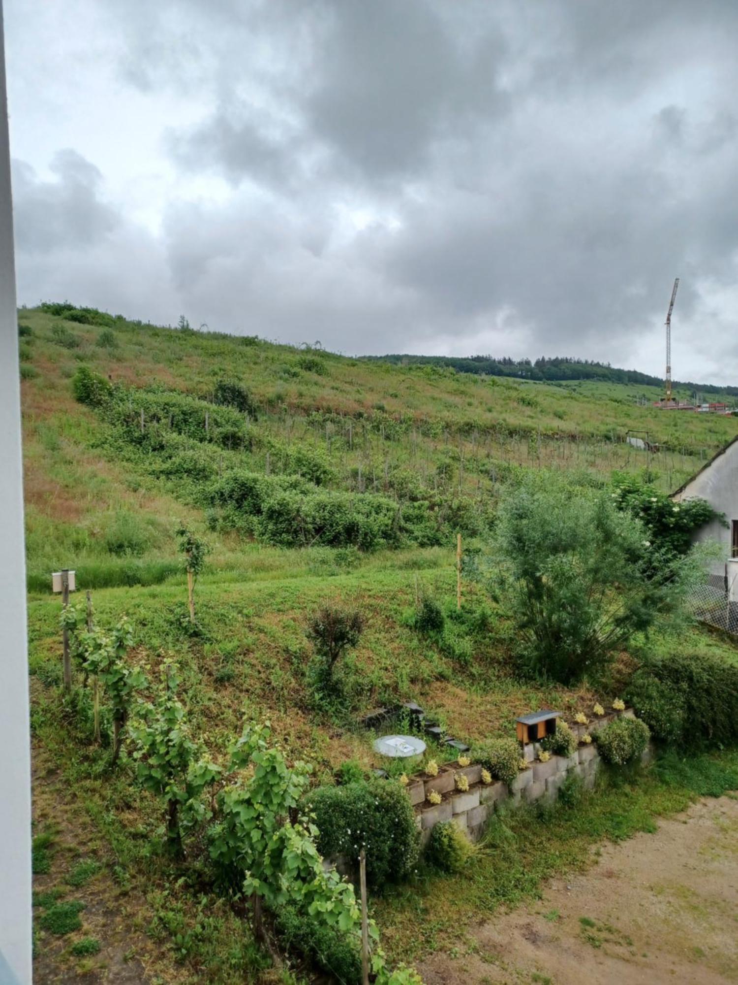 Gaestehaus Bausch Mehring  Bagian luar foto