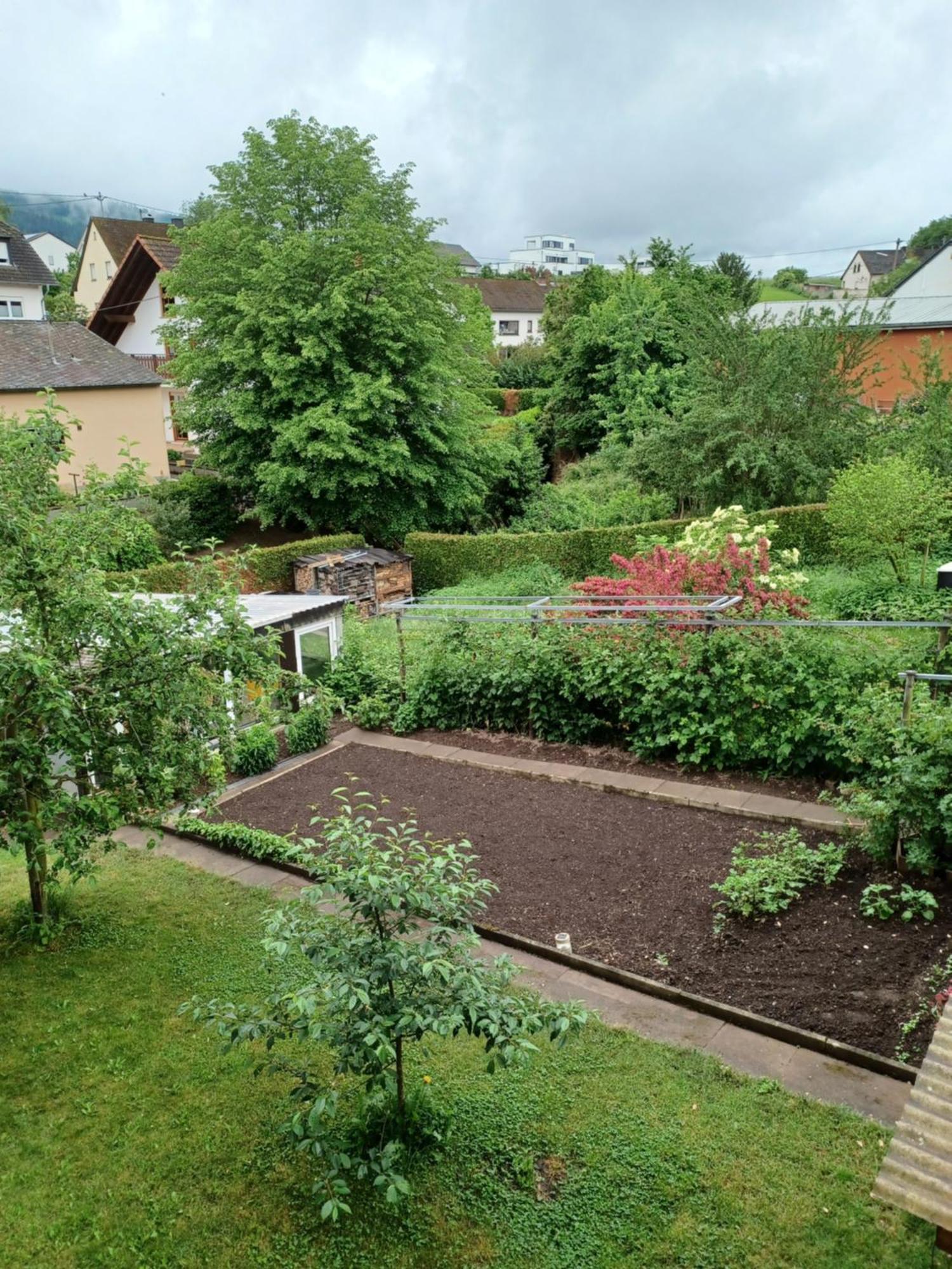 Gaestehaus Bausch Mehring  Bagian luar foto